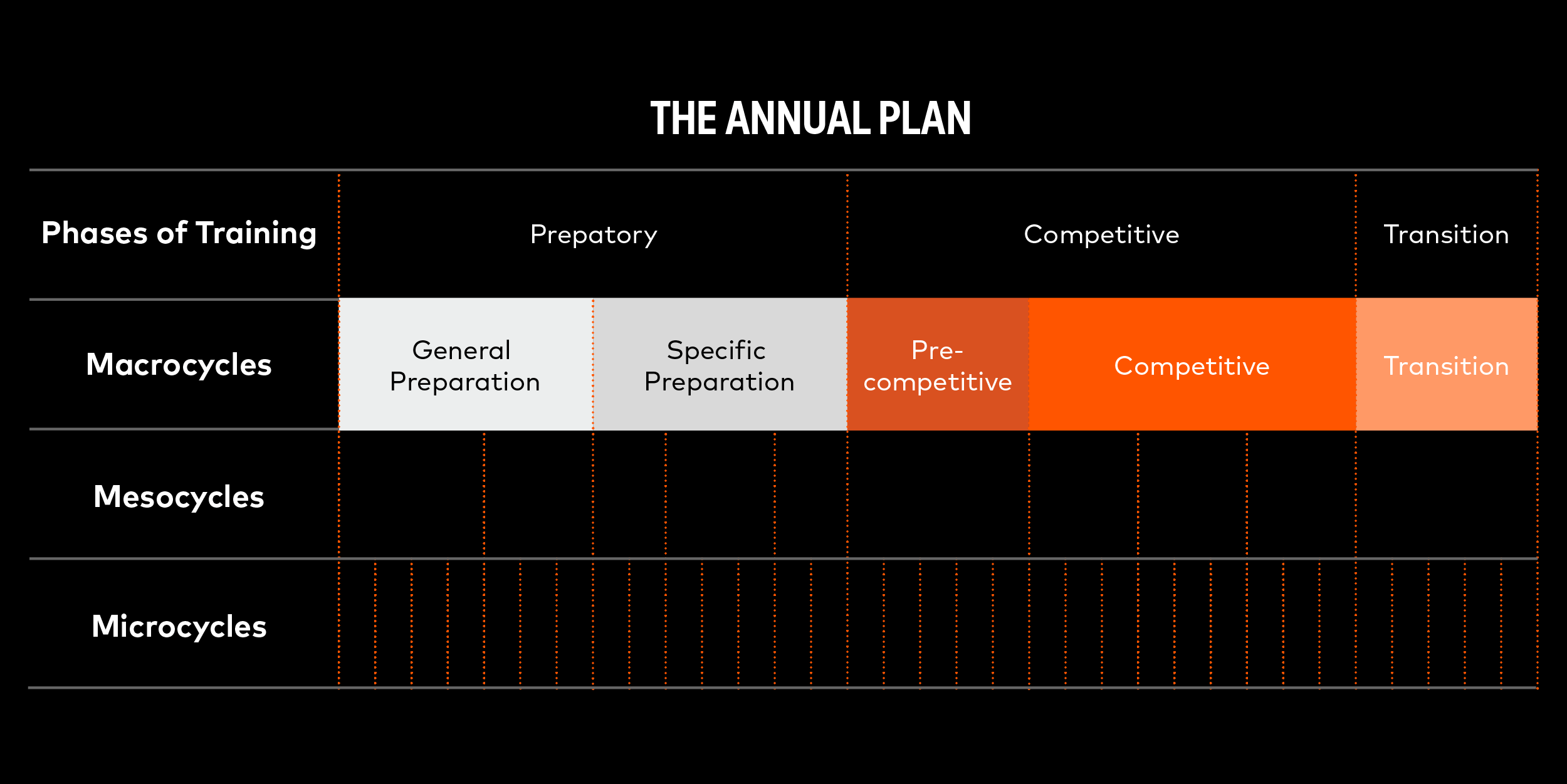 Periodisation