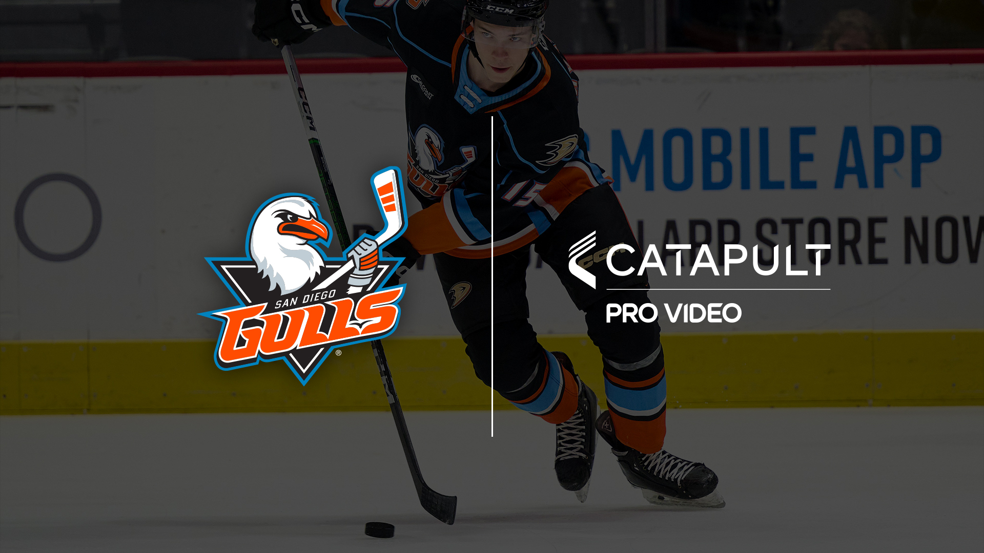 Un giocatore di hockey dei San Diego Gulls in azione sul ghiaccio, con il logo dei San Diego Gulls e quello di Catapult Pro Video affiancati, a sottolineare la loro partnership nell'analisi video avanzata per migliorare le prestazioni della squadra.