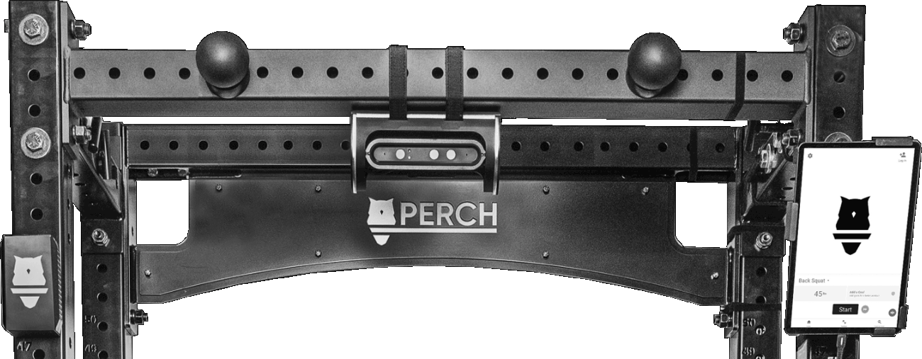 Perch-Rack-2 Perch