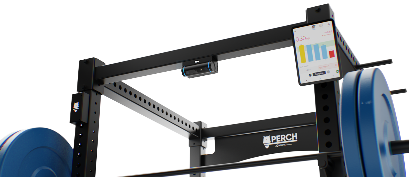 perch _camera_frame_no_bg2