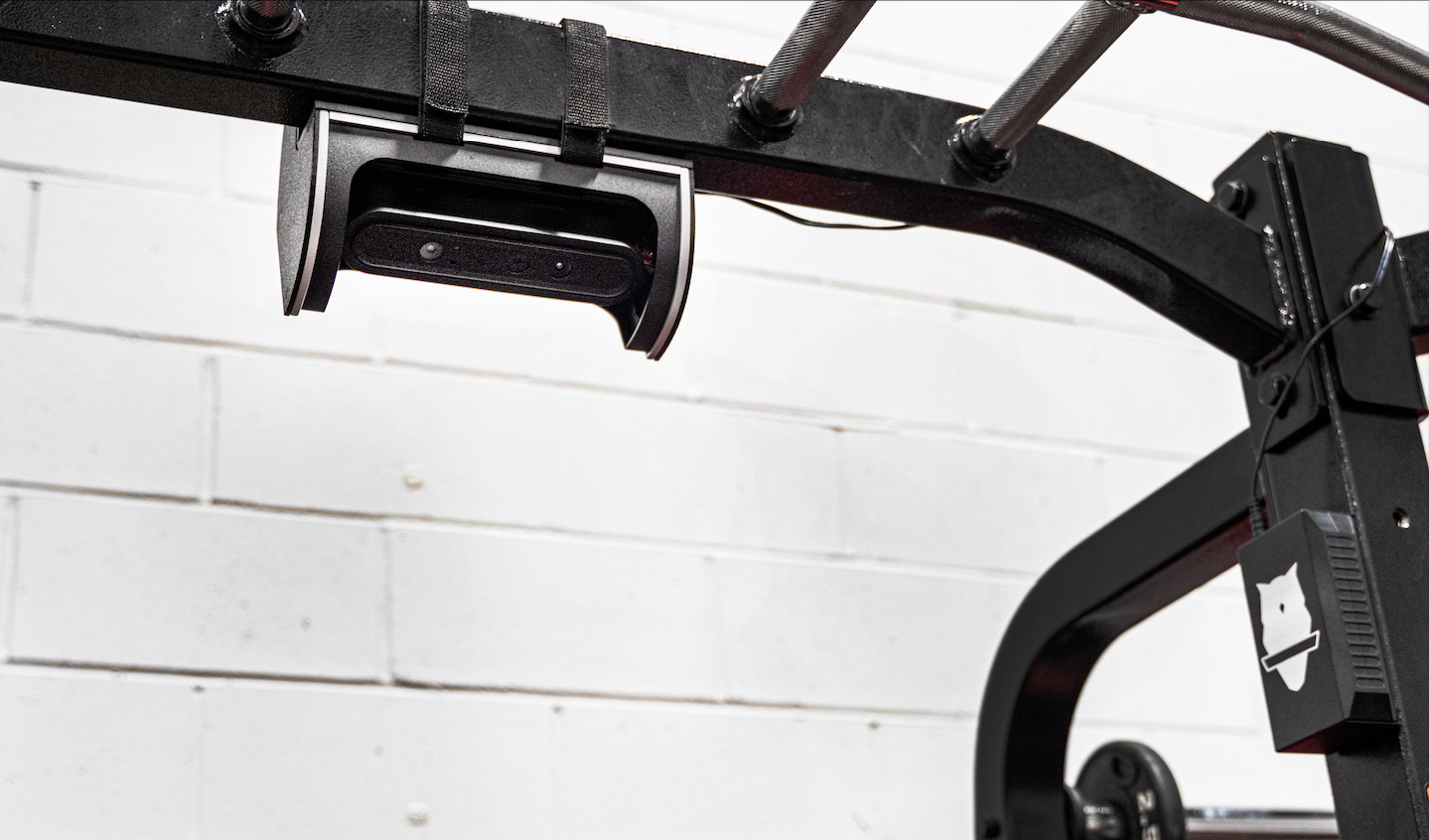 训练频率、Perch、基于速度的训练