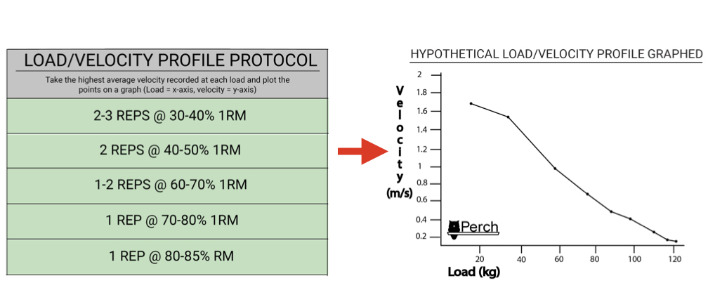Das Protokoll und die darauf basierende hypothetische Darstellung wurden aus Gonzalez-Badillo (2017)[3] übernommen.
