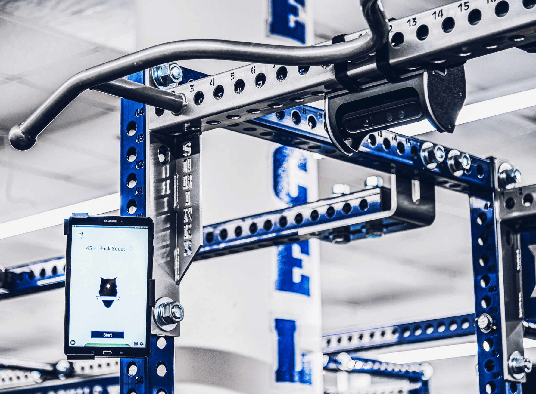 杜克大学橄榄perch