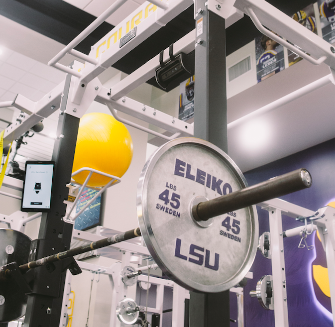 kembali bermain, perch, VBT