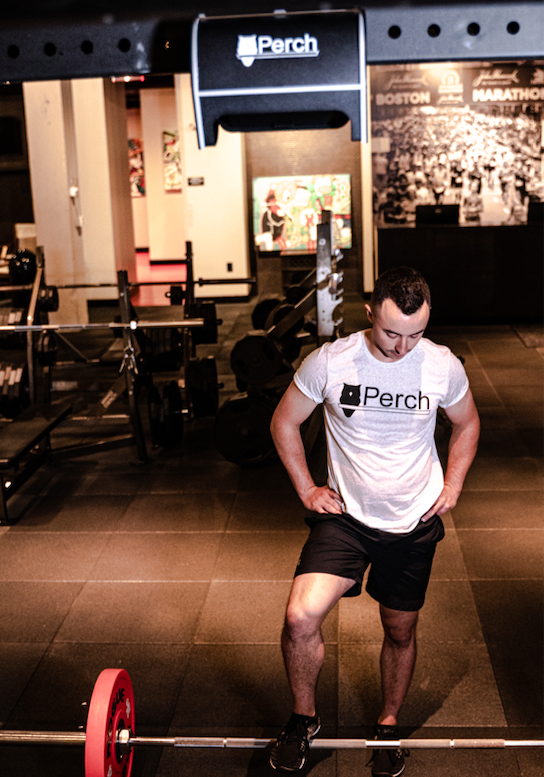 Basistests, Perch, VBT