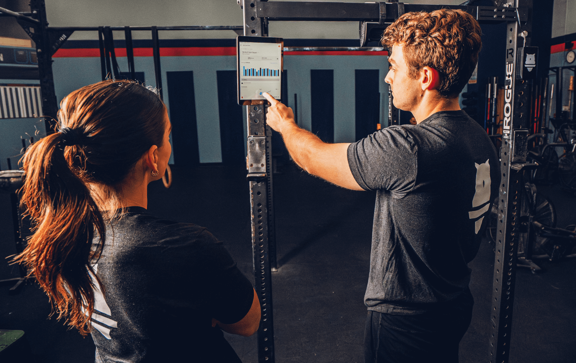 Perch new scores dashboard